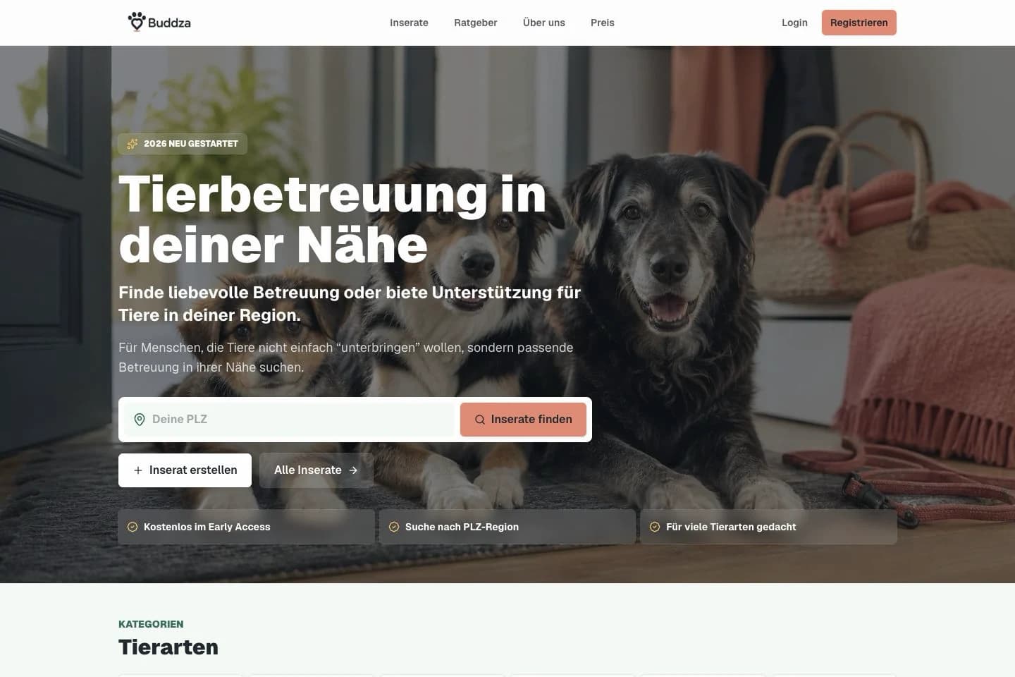 Website-Ansicht von buddza.de